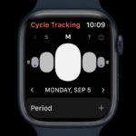 Apple Watch Series 8 e SE 2 ufficiali con focus sulla salute, ma la vera novità è Watch Ultra 2