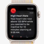Apple Watch Series 8 e SE 2 ufficiali con focus sulla salute, ma la vera novità è Watch Ultra 35