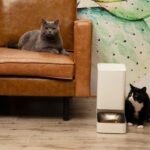 Xiaomi pensa agli animali domestici: ecco la ciotola e una fontanella smart 1