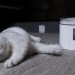 Xiaomi pensa agli animali domestici: ecco la ciotola e una fontanella smart 4