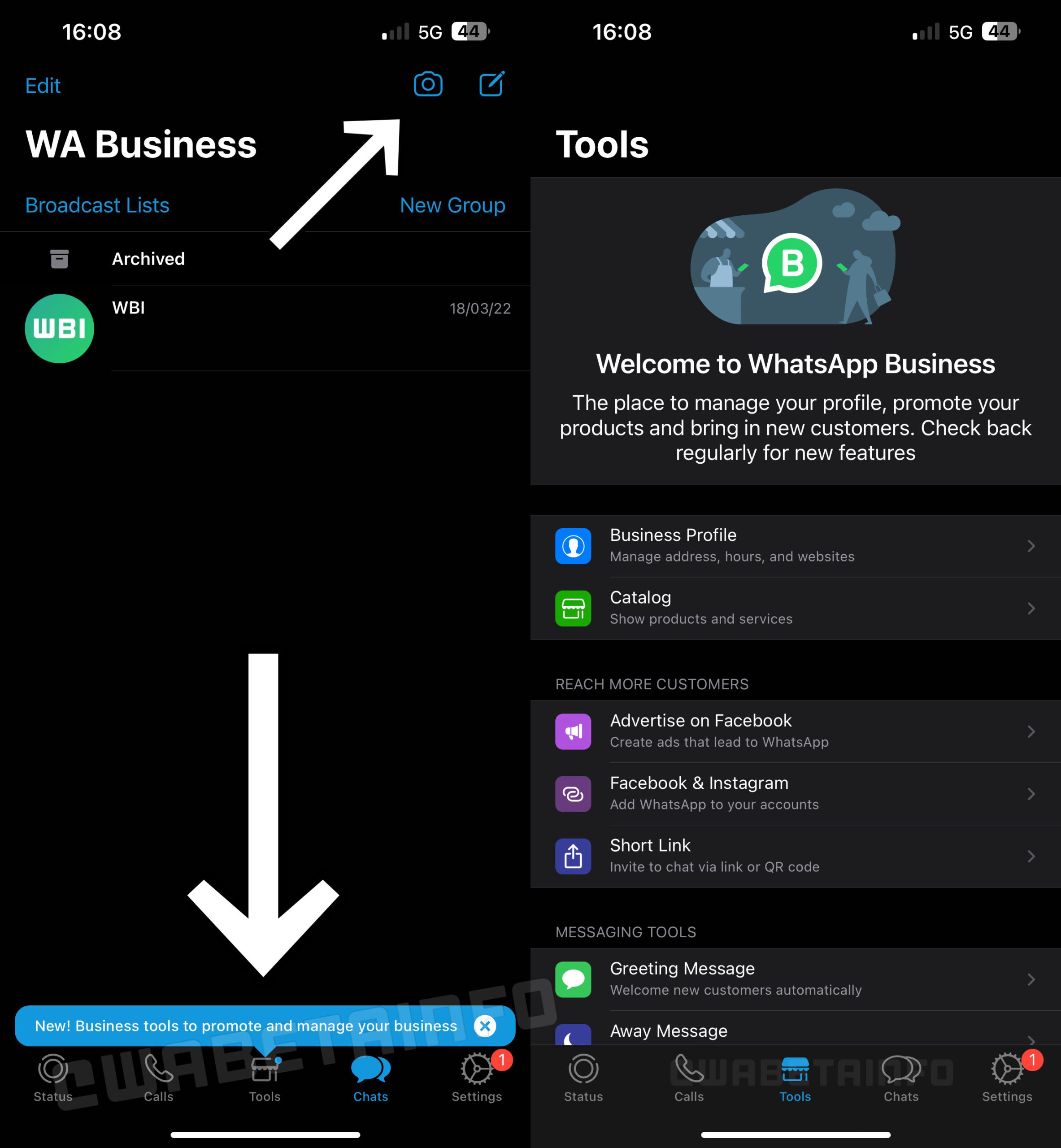 whatsapp business beta ios scheda strumenti aziendali