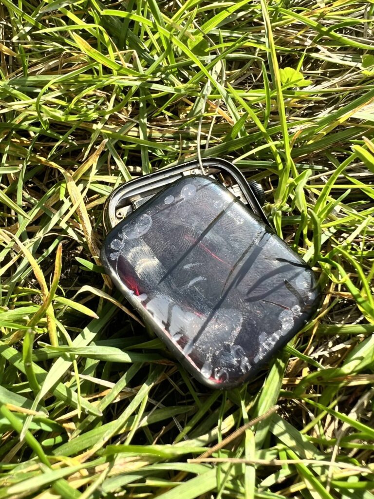 Apple Watch danni batteria