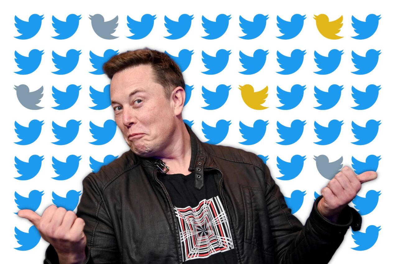 Elon Musk ha cambiato il logo di Twitter con l'immagine del cane di Dogecoin