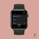 Come usare Apple Watch per controllare altri dispositivi 13