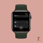 Come usare Apple Watch per controllare altri dispositivi 15