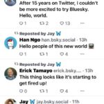 Il fondatore di Twitter ha lanciato un nuovo social simile a Twitter 2