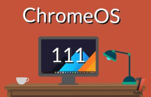 ChromeOS 111