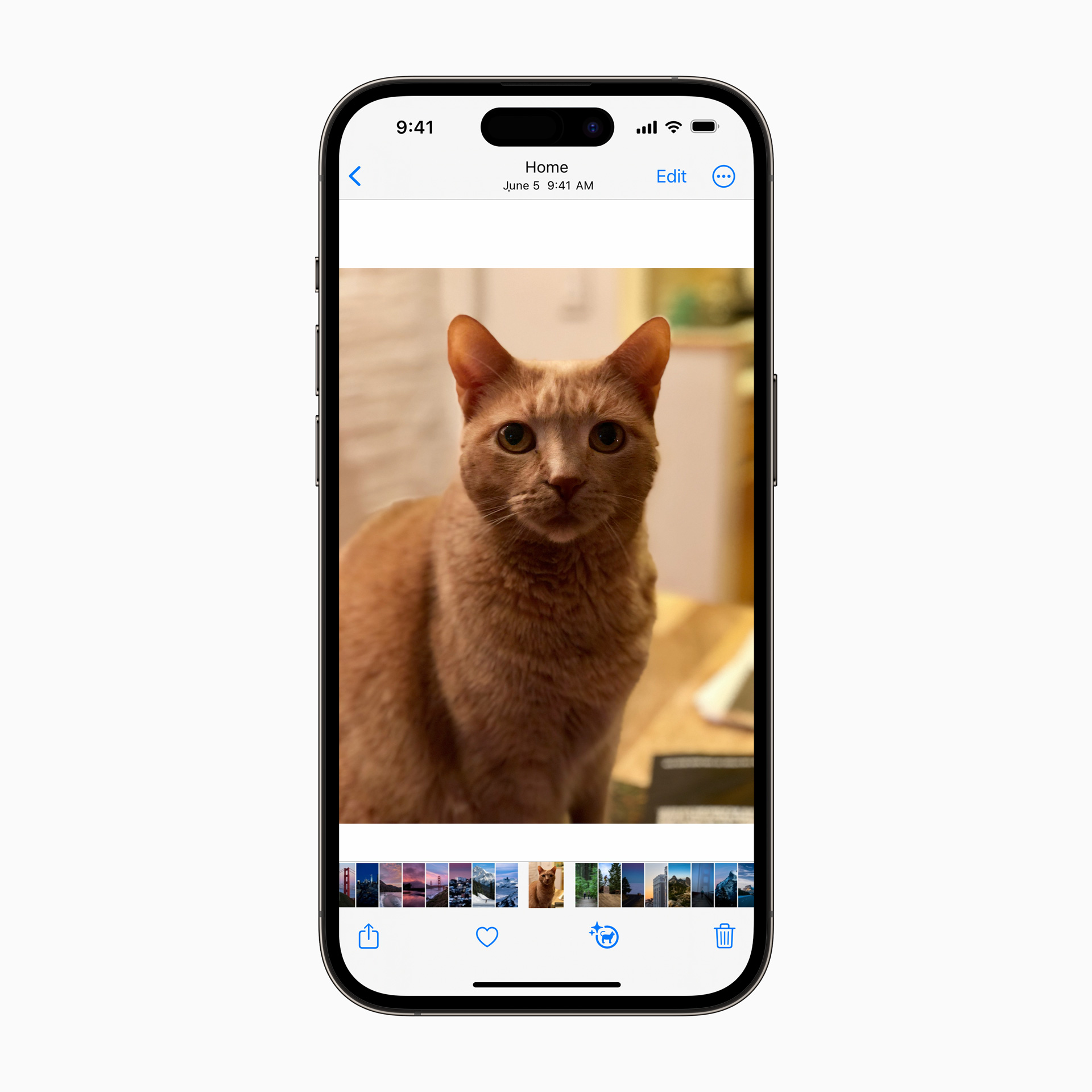 iOS 17 è ufficiale e vuole trasformare il vostro iPhone in un diario 5