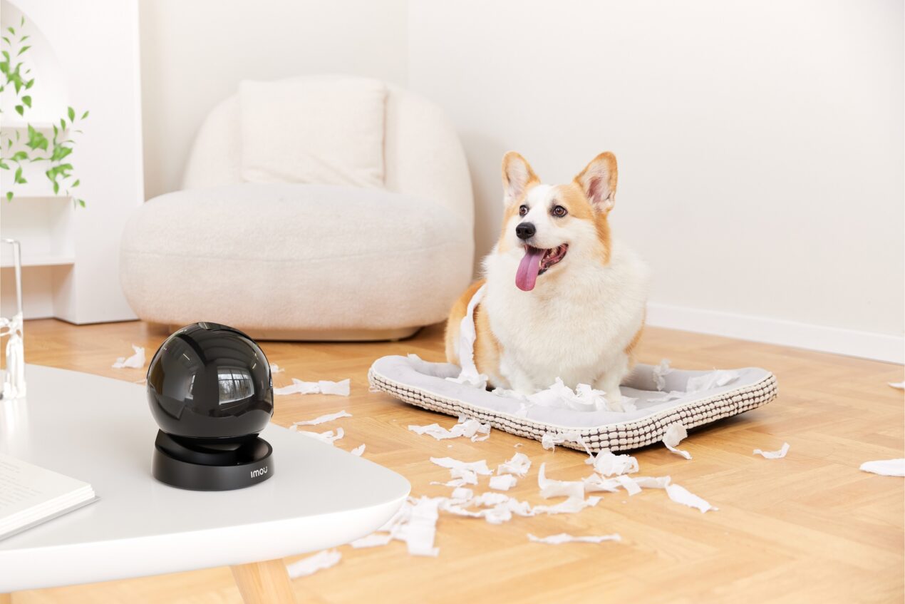 IMOU svela 4 nuove telecamere di sorveglianza con riconoscimento tramite IA