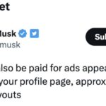 Le novità di X, il "nuovo Twitter" di Elon Musk 2