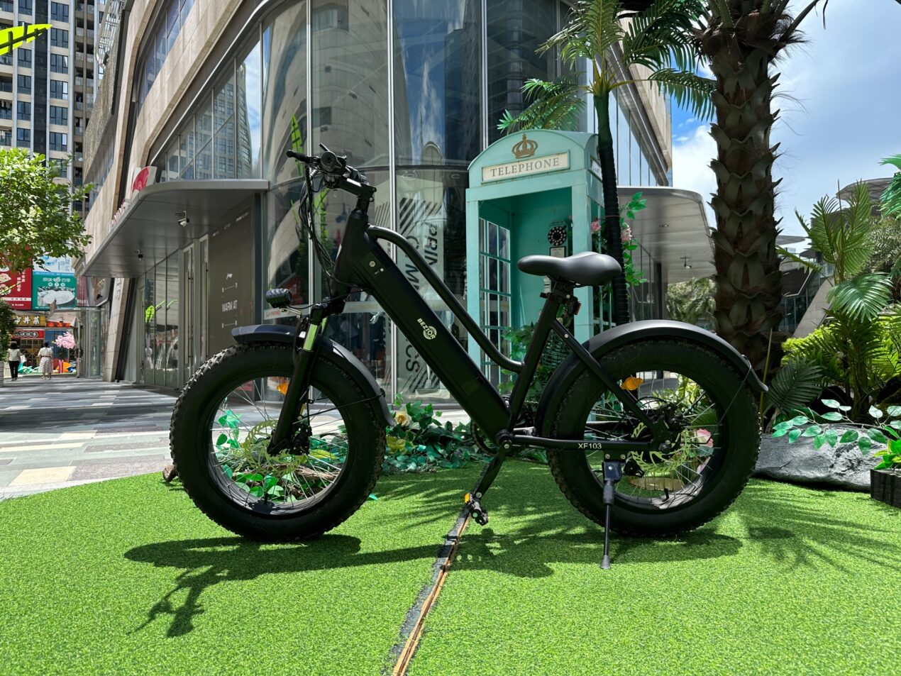 Che prezzo per BEZIOR XF103, una e-bike tuttofare
