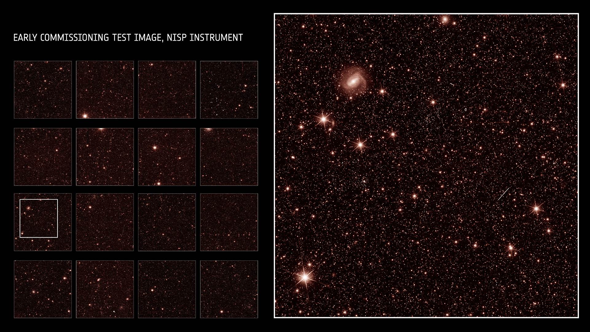 Immagini NISP dal telescopio Euclid