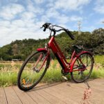 GOGOBEST GM28, la bici elettrica da passeggio è più conveniente che mai 1