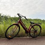 GOGOBEST GM28, la bici elettrica da passeggio è più conveniente che mai 2