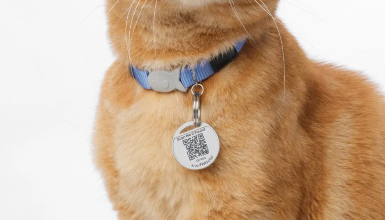 Ring lancia Pet Tag, una medaglietta con QR per ritrovare gli animali domestici