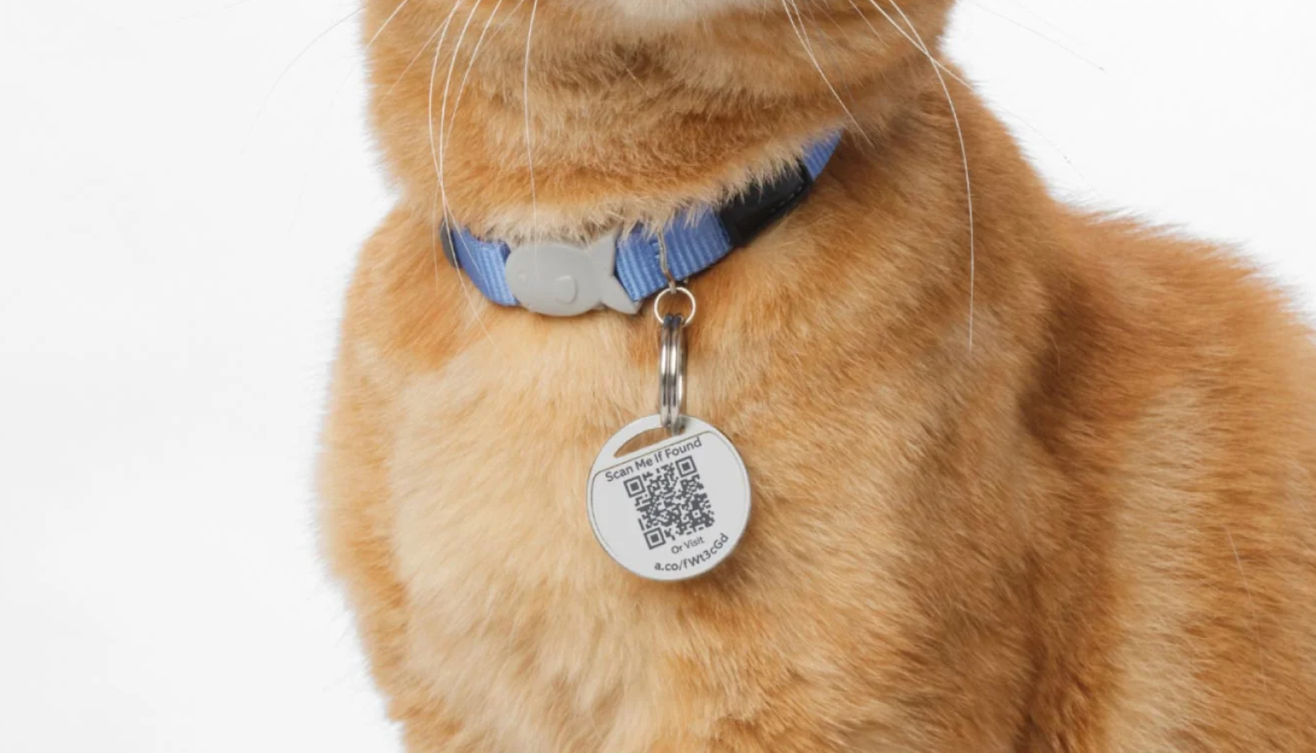 Ring lancia Pet Tag, una medaglietta con QR per ritrovare gli animali