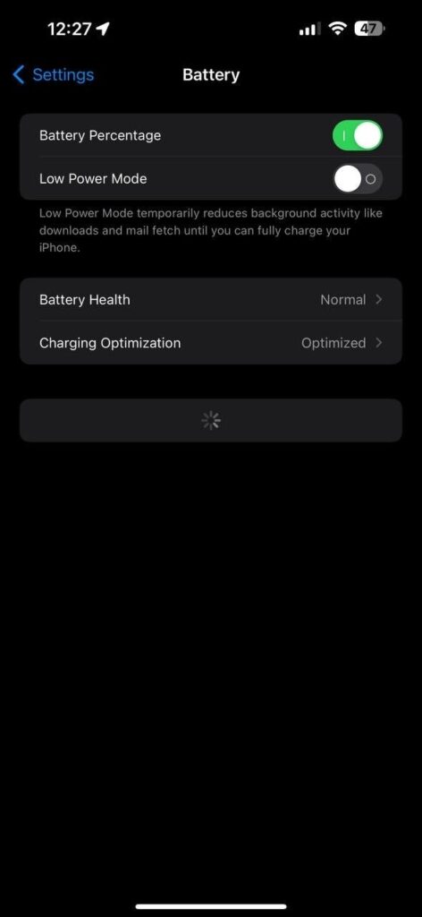Apple iOS 17.4 DB4 - informazioni batteria