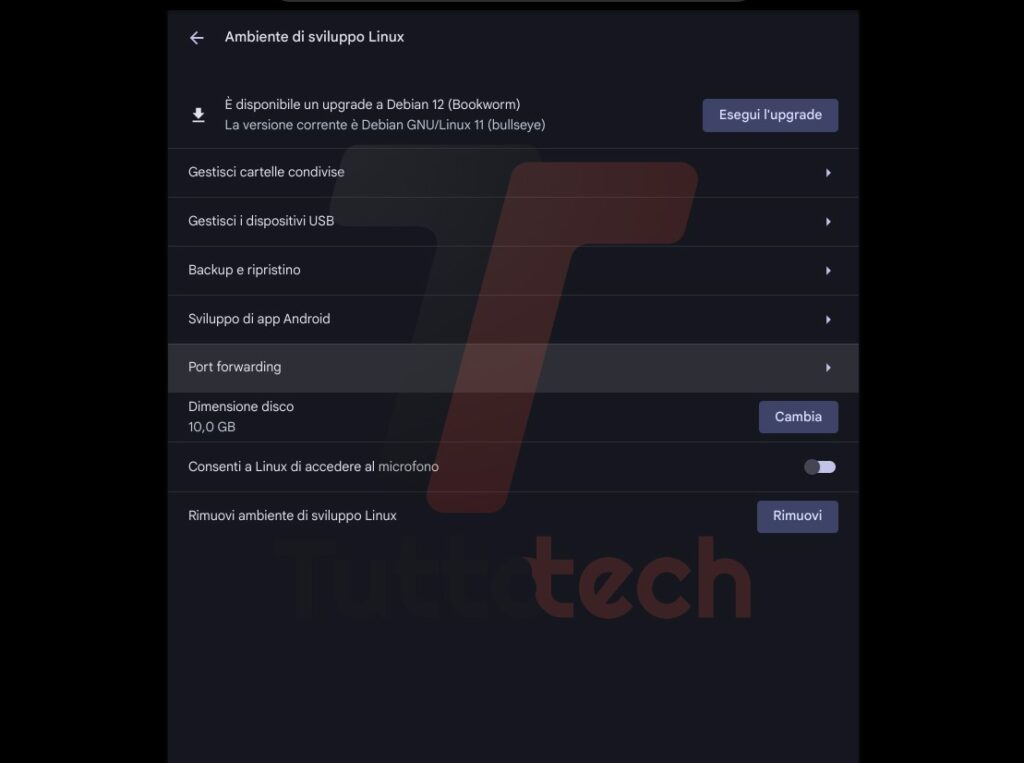 ChromeOS 121 aggiornamento Linux