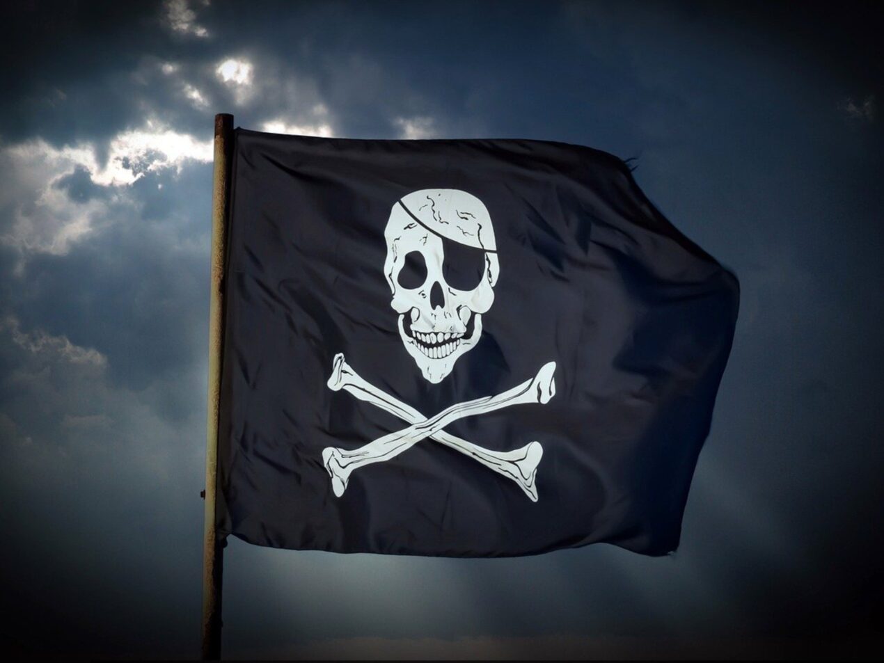 È stata smantellata la più grande rete di pirateria al mondo
