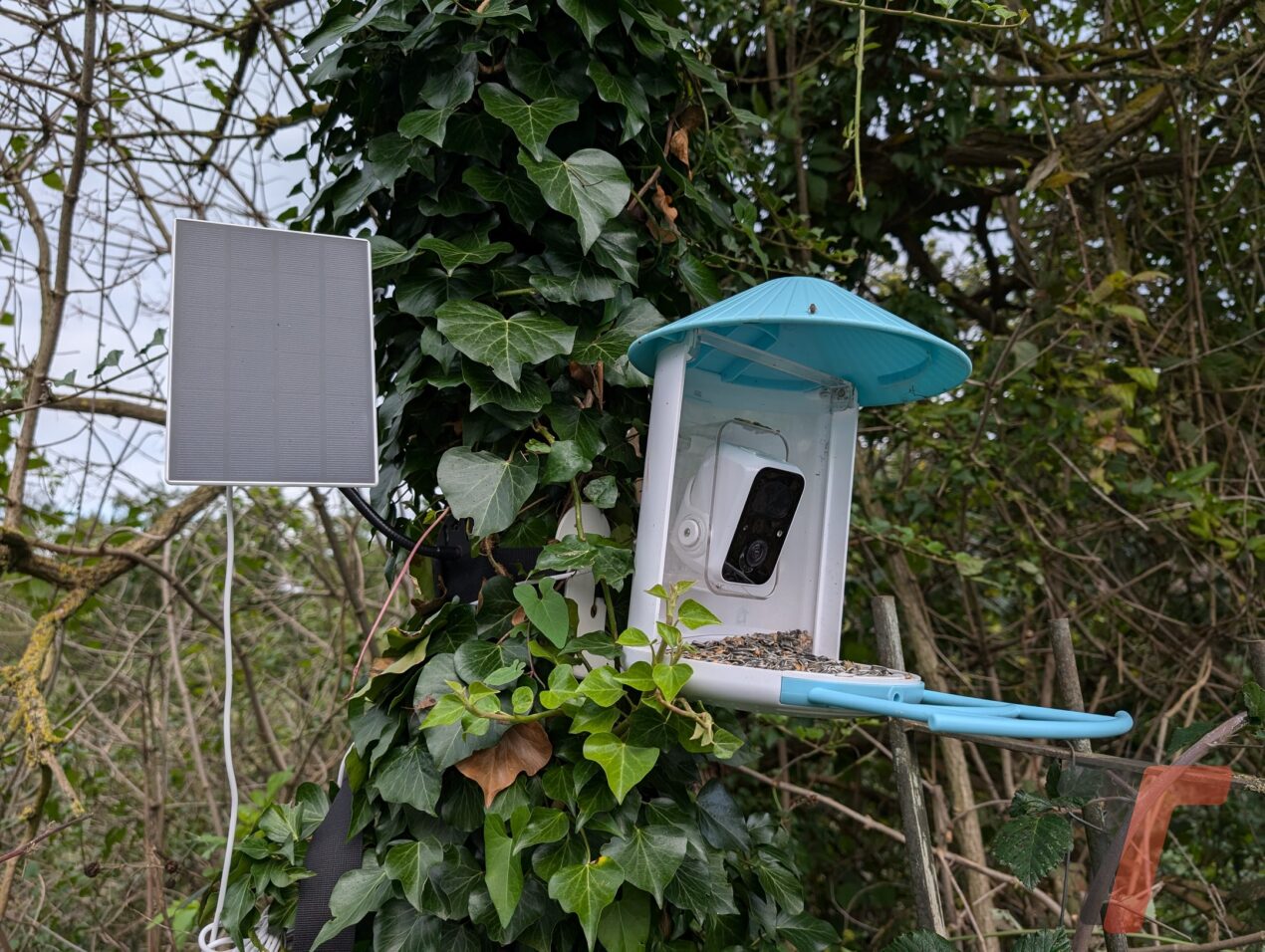 Segnatevi questa idea regalo, si chiama Birdfy Feeder e vi stupirà