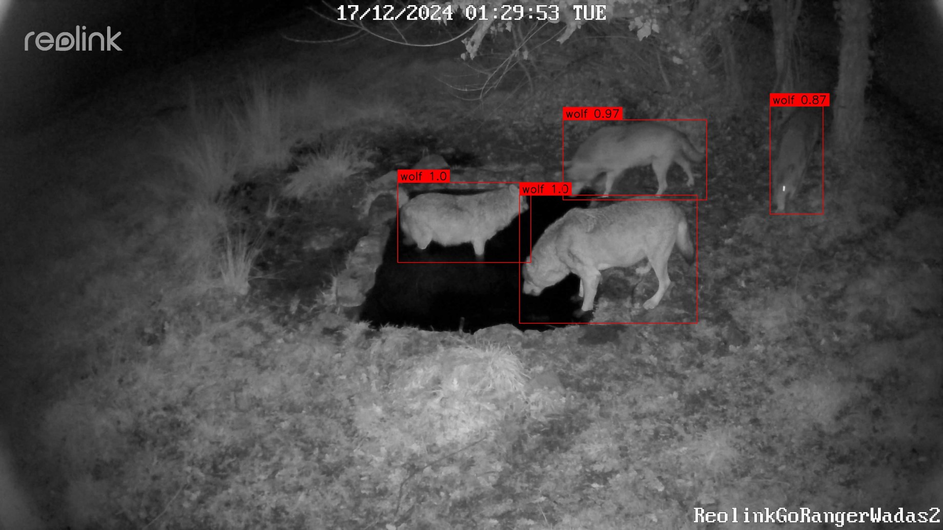 WADAS è un nuovo sistema intelligente per la salvaguardia degli animali selvatici 5