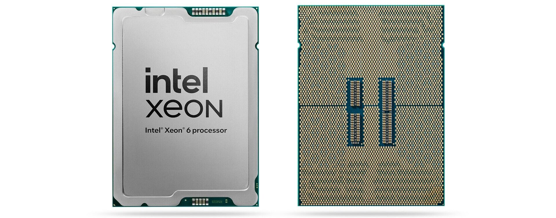 Intel Xeon 6 1