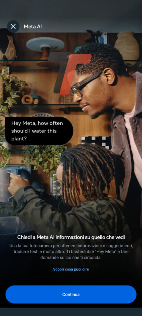 Look and Ask, Guarda e Chiedi ai Rayban Meta arriva in Italia