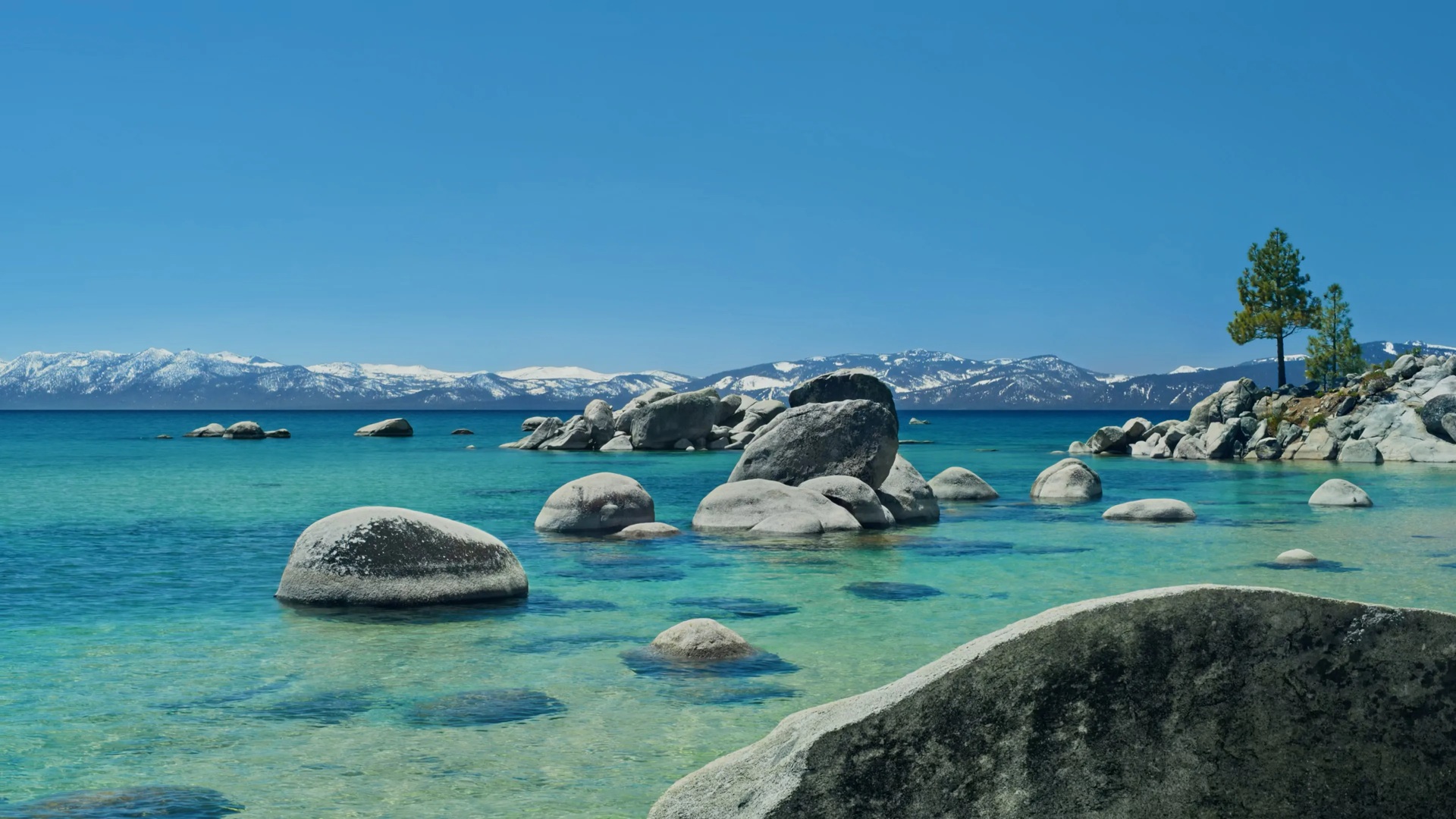 Apple macOS 26 DB3 - Tahoe Day Wallpaper 9to5Mac