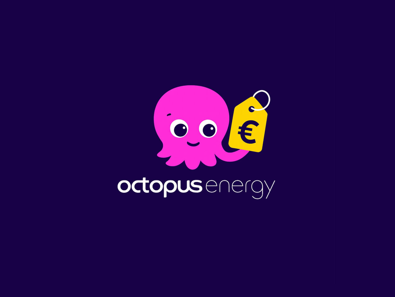 Octopus Energy abbassa la tariffa luce e gas bloccata 12 mesi, anche per i già clienti