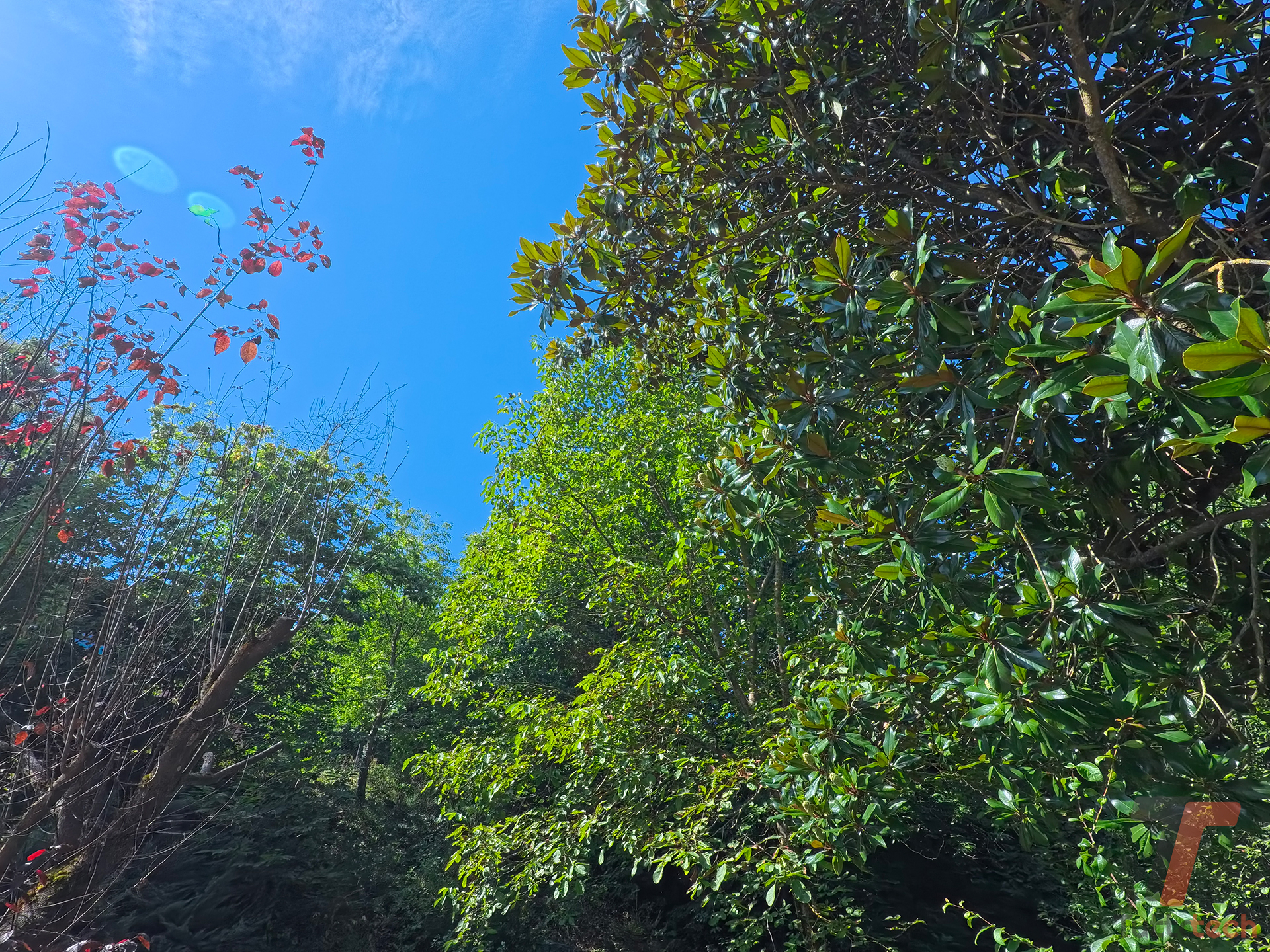 Recensione Insta360 GO Ultra: il futuro del vlogging travel in 53 grammi 27