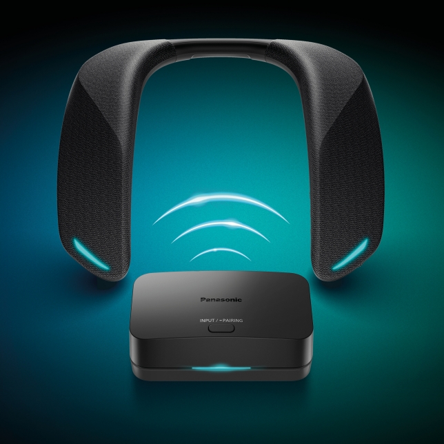 Panasonic SoundSlayer GNW30-2