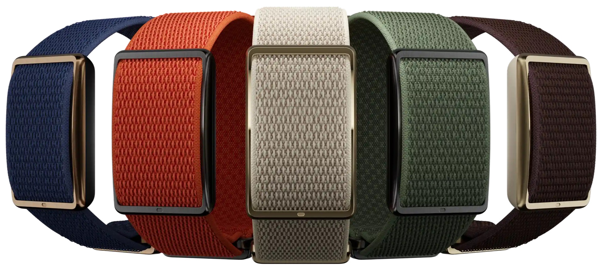 Polar LOOP - colorazioni