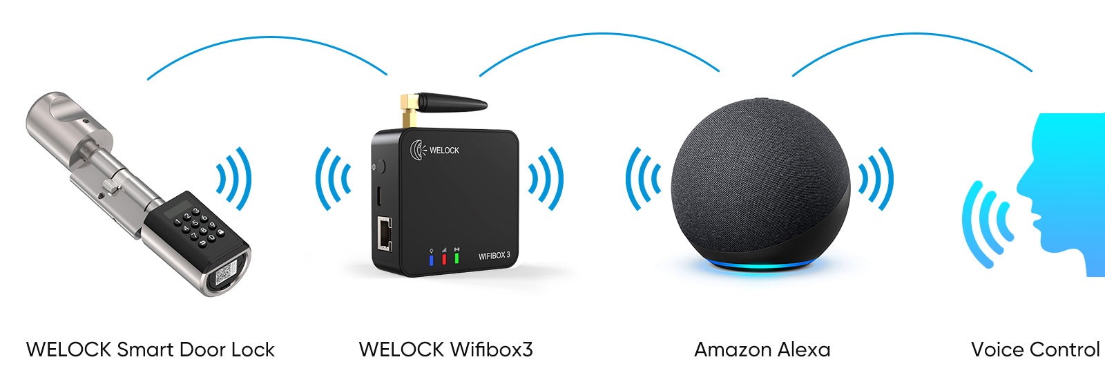 welock serratura smart