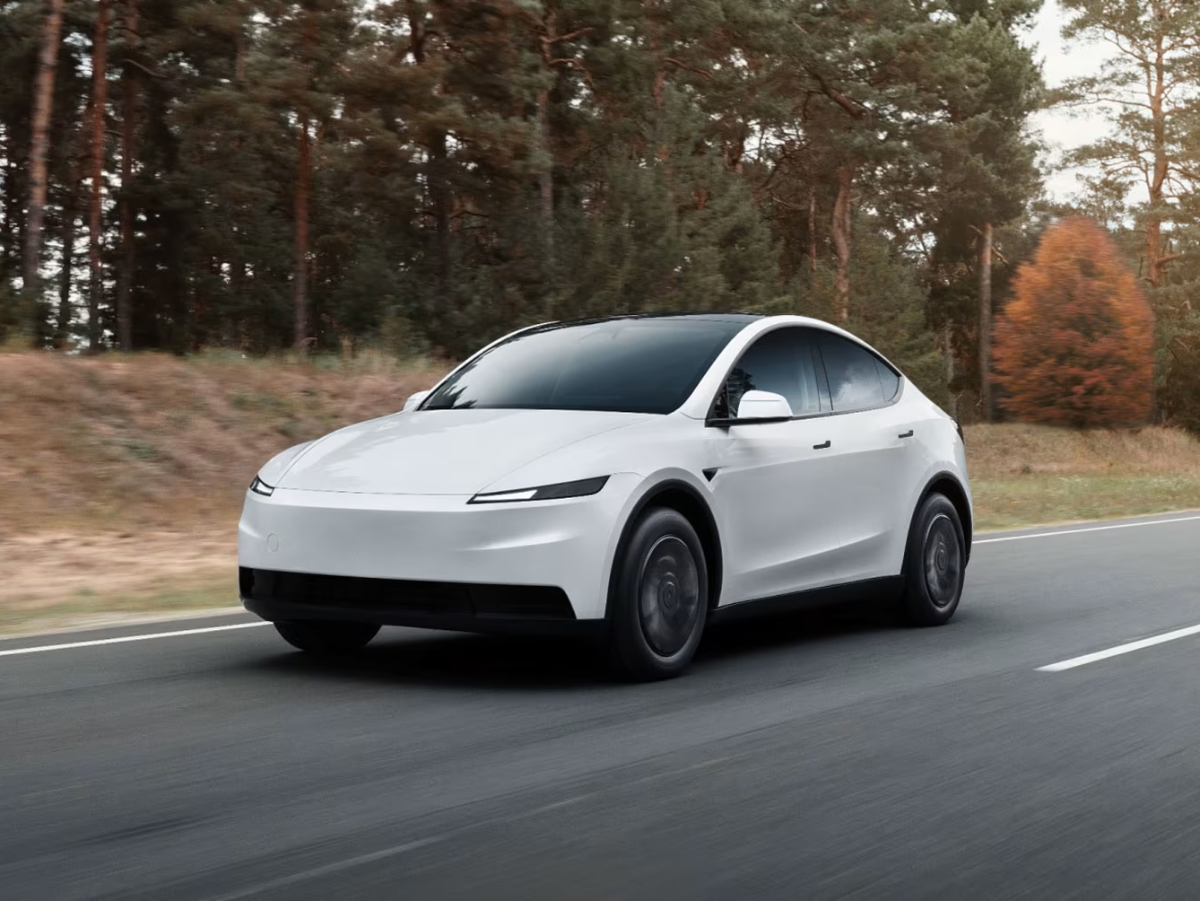 Tesla model y standard italia