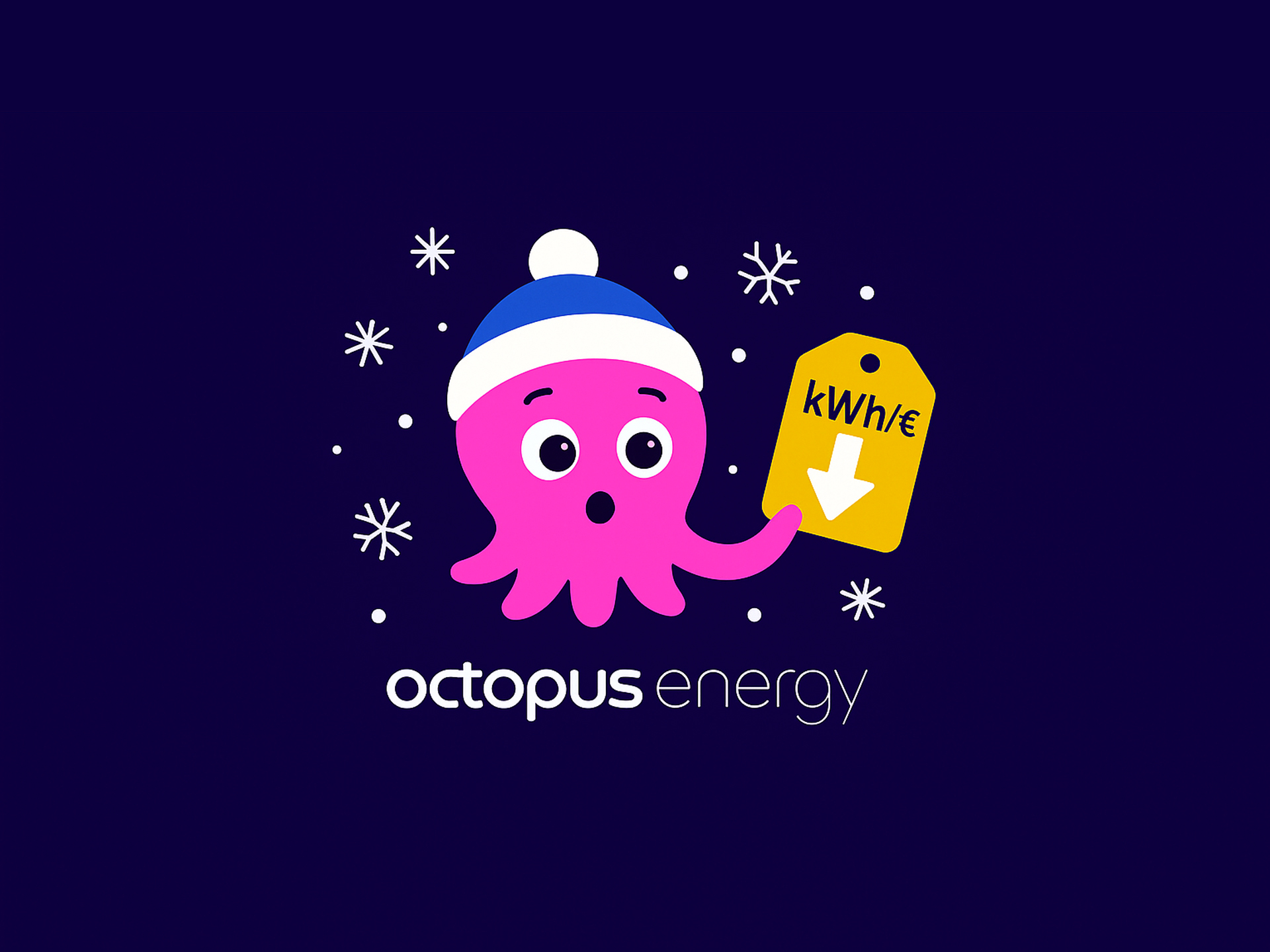 Octopus energy cala luce gas inverno