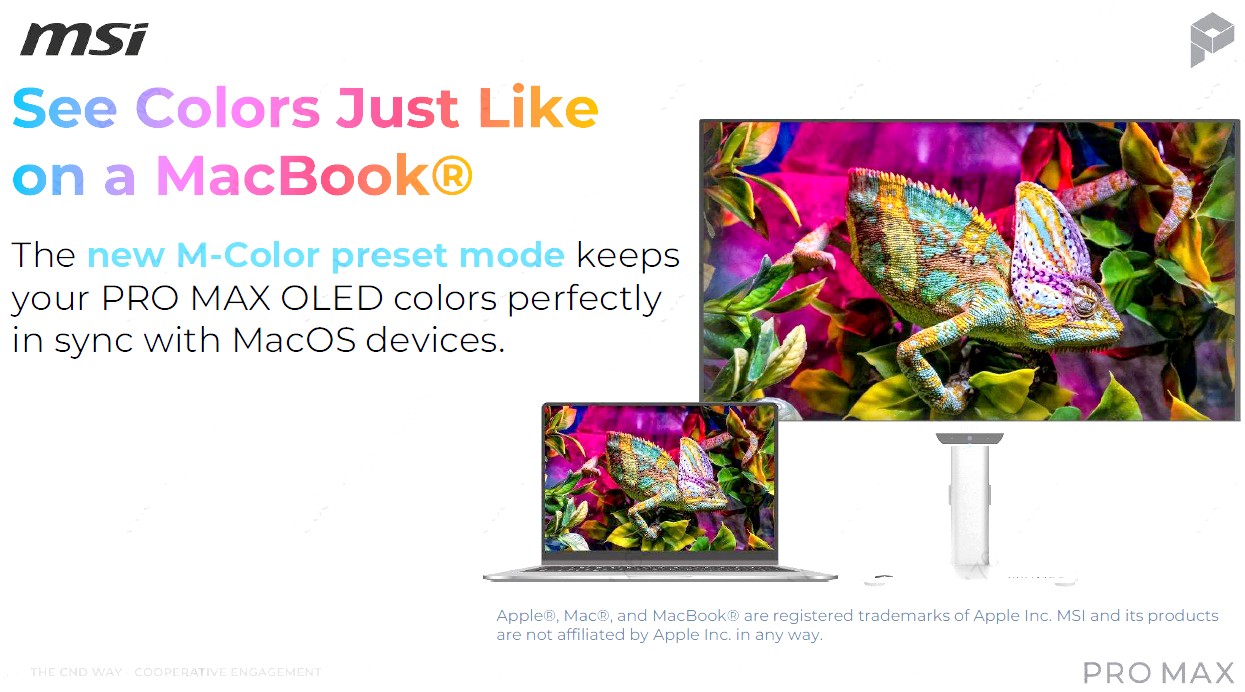 MSI PRO MAX monitor 2