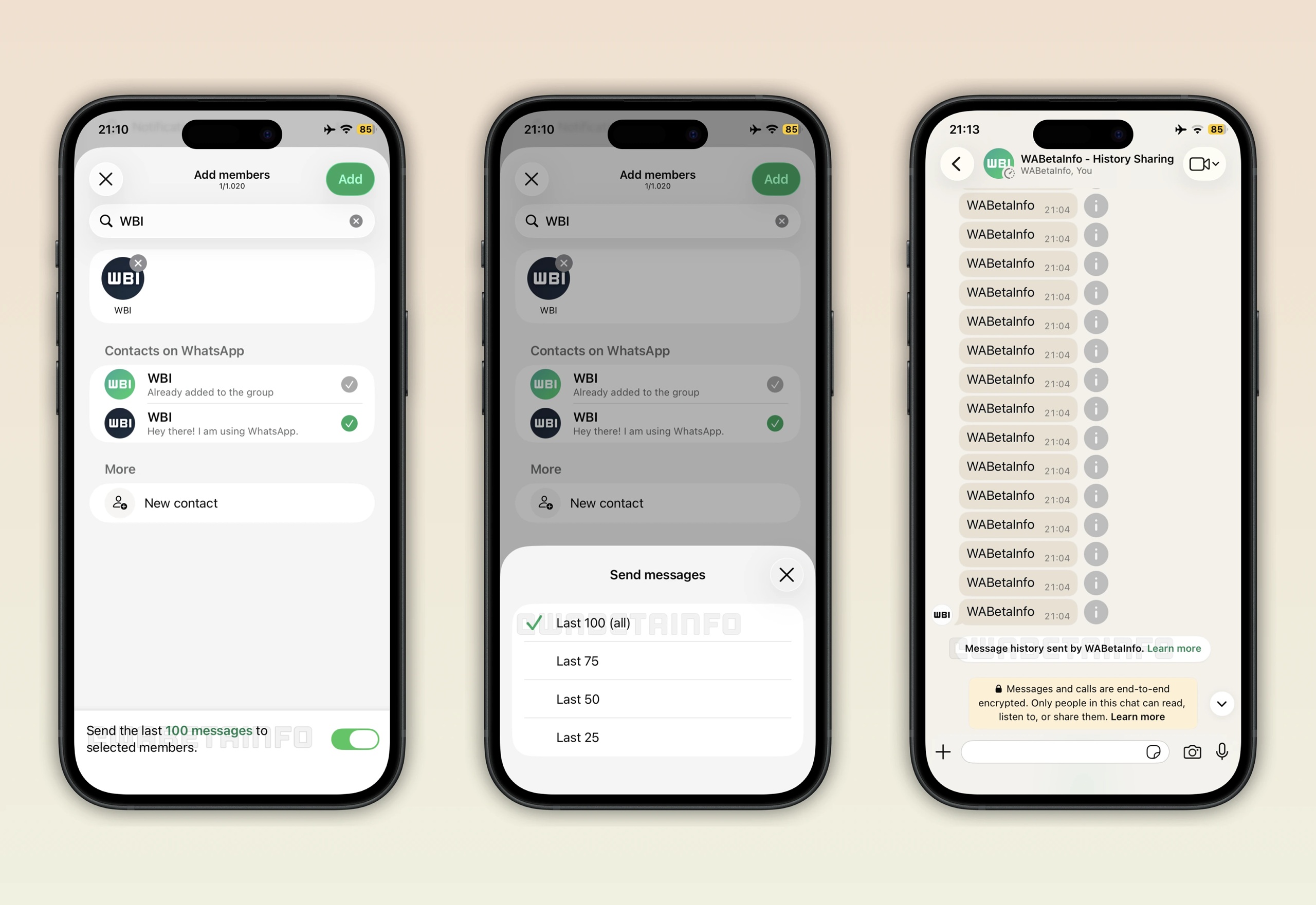 WhatsApp Beta per iOS v26.2.10.73 - condivisione cronologia chat gruppo WBI