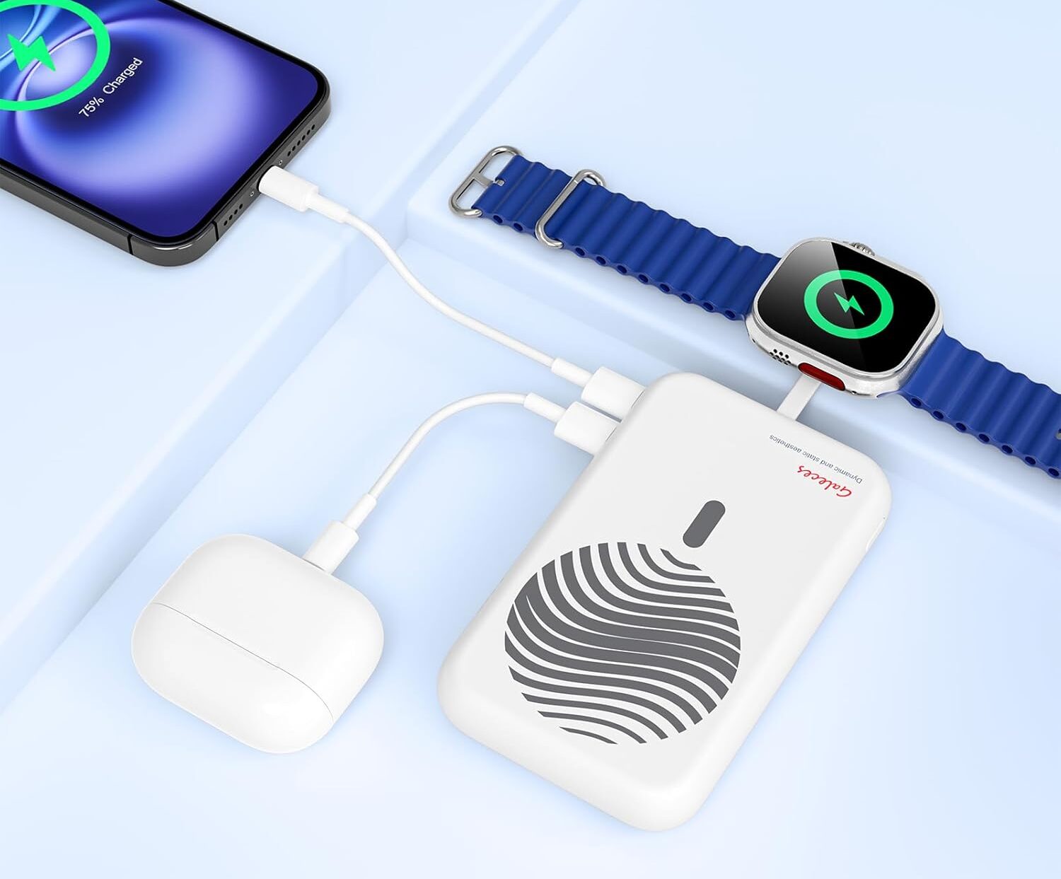 Powerbank e1768906915929