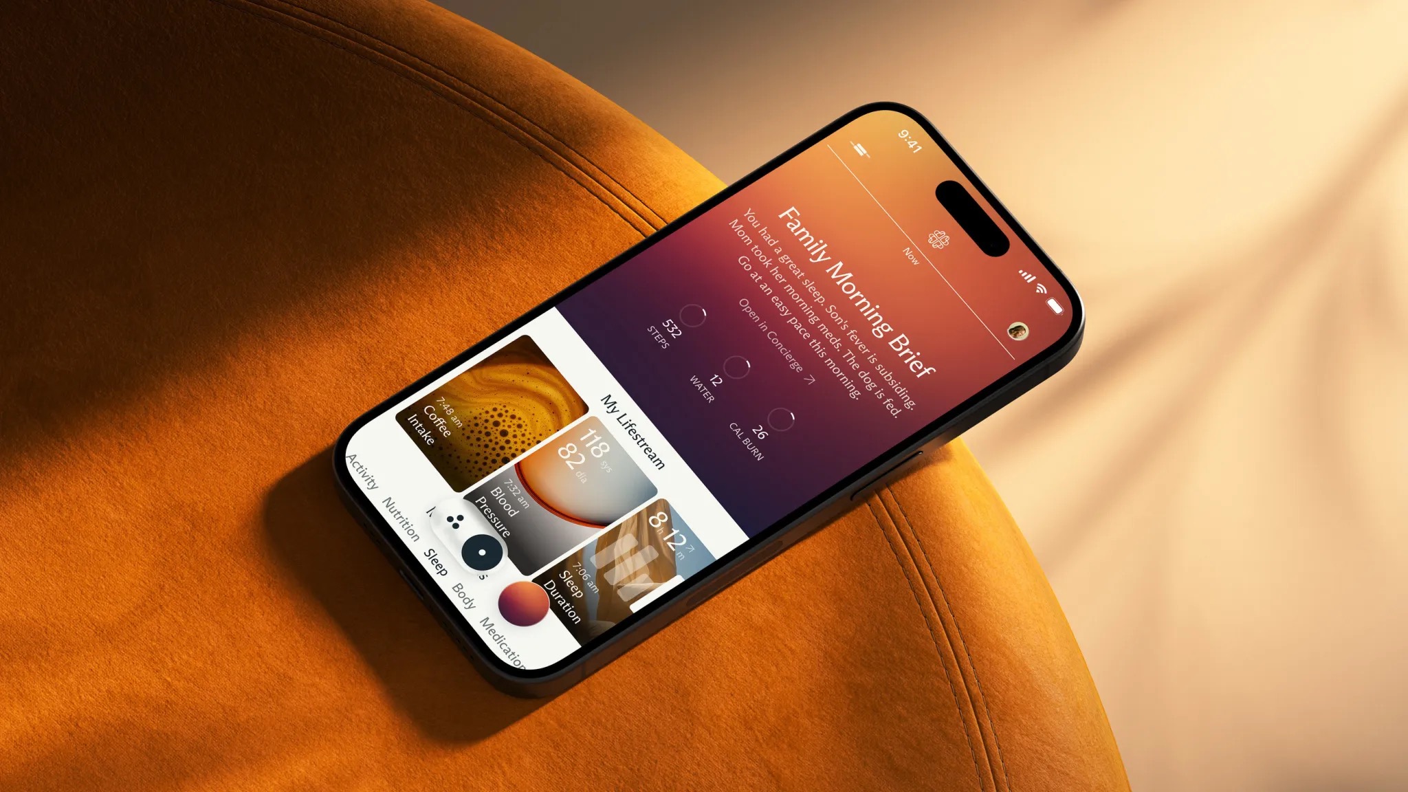 Luffu schermata principale fondatori fitbit