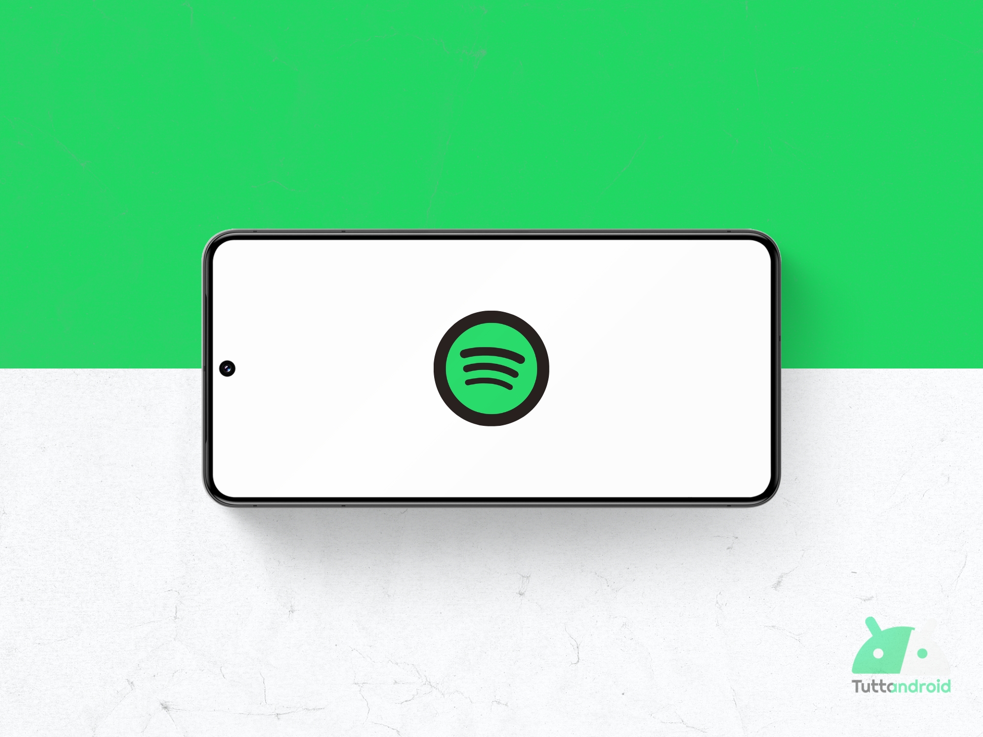 Spotify Logo 2025 TTA 1
