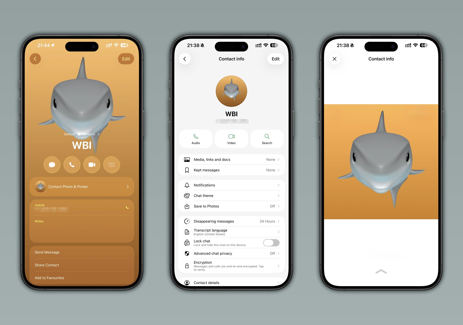 WhatsApp Beta per iOS v26.12.10.71 - Immagini contatti da rubrica WBI