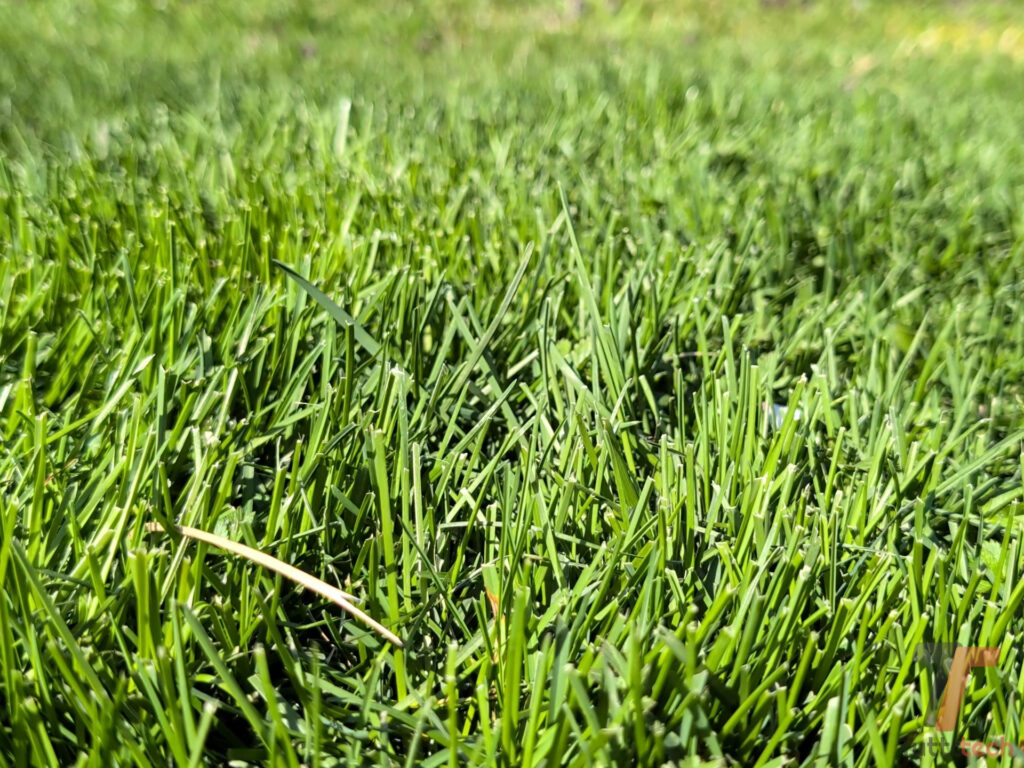 Recensione Navimow i208 LiDAR: il robot tagliaerba di Segway che fa tutto da solo 17