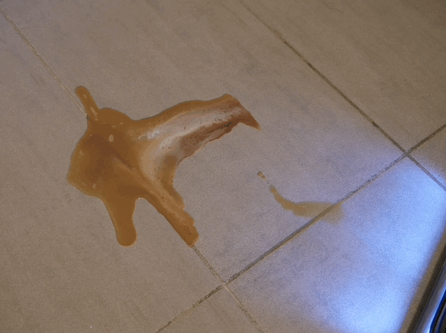 Recensione Tineco Floor One S9 Scientist: raschietto e spruzzo contro liquidi e macchie 8