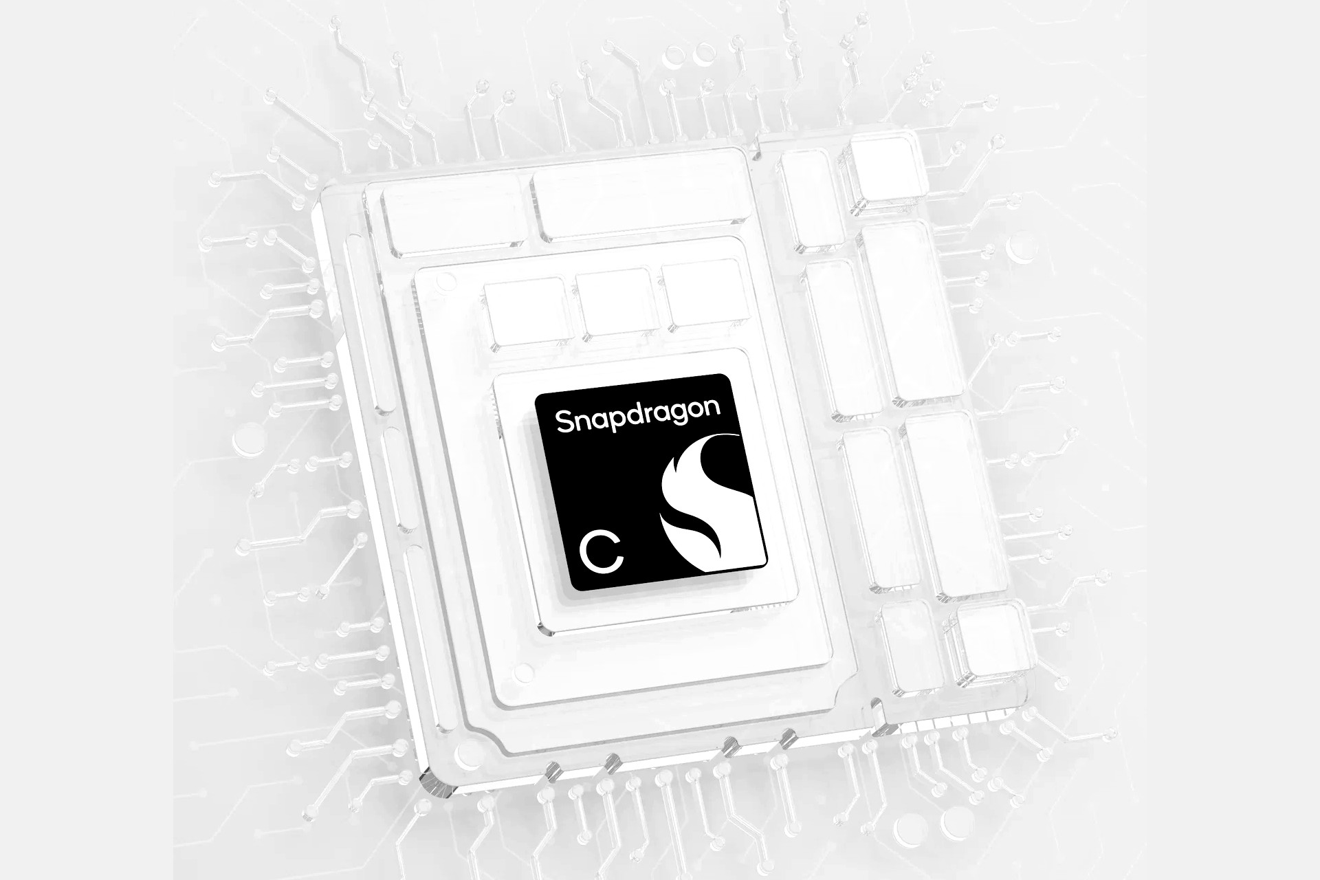 snapdragon C