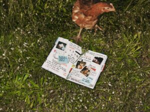 Polaroid Go Generation 3, la scusa perfetta per mettersi offline questa estate 1
