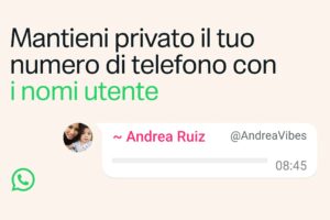 WhatsApp - Blog Post nome utente hero