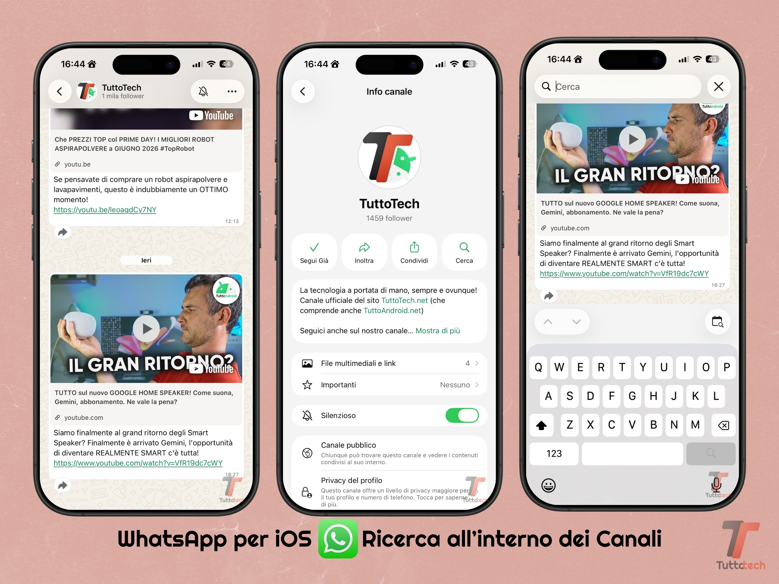 WhatsApp per iOS v26.24.72 - Ricerca negli aggiornamenti dei Canali