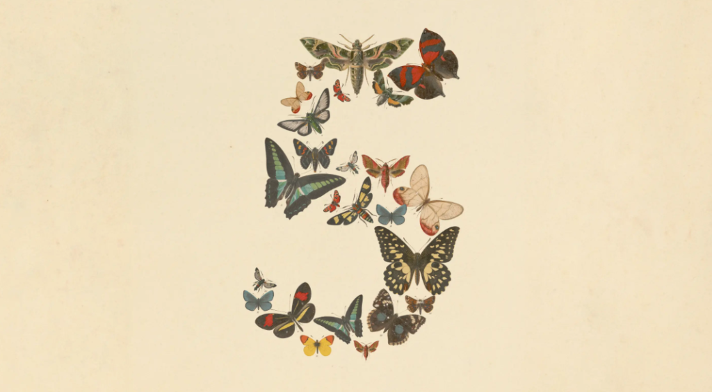 anthropic claude fable 5