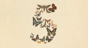 anthropic claude fable 5