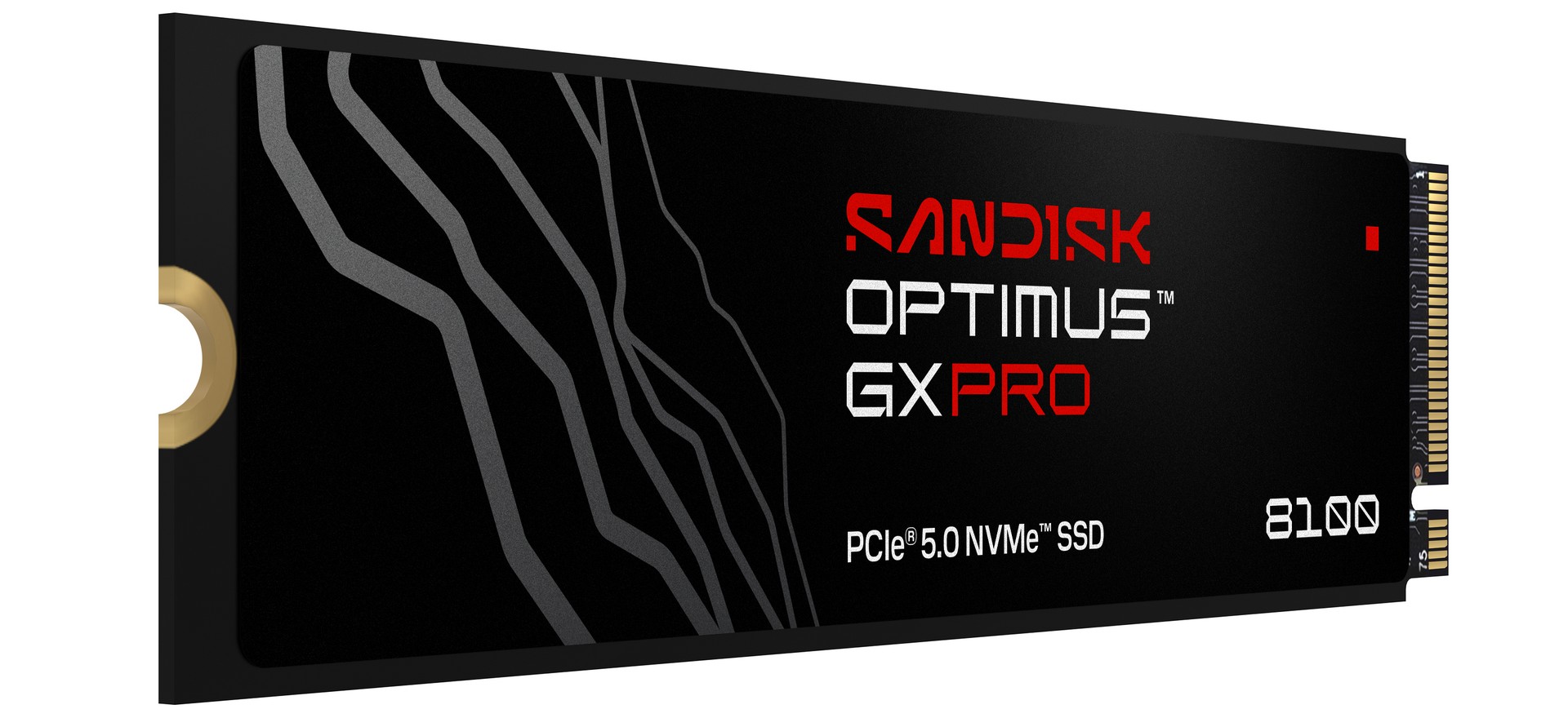 SNDK_Optimus_GX_PRO_8100